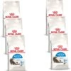 Royal Canin Indoor Long Hair – Kattenvoer – 6 X 400 G -Kattenvoer Verkoopwinkel 1161x1200