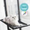 Kattenmand Voor Aan Het Raam – Kattenbed – Hangmat Kat – Kattenhangmat – Zwart – Incl. GRATIS E-Book & Kattenspeeltje! -Kattenvoer Verkoopwinkel 1200x1028