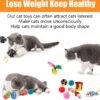 MONTKIARA 21-delige Kattenspeelgoedset Kattentunnel Interactief Kattenspeelgoed Voor Kittens Lentespeelgoed Kattenballen Speelgoedmuizen Voor Katten -Kattenvoer Verkoopwinkel 1200x1131