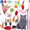 PietyPet Kitty Kattenspeelgoed, Kattenspeelgoed Voor Katten, 18 Stuks -Kattenvoer Verkoopwinkel 1200x1196