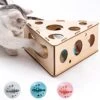 Mewoofun Kat Speelgoed Driehoek Doos Met Drie Ballen Interactieve Massief Houten Speelgoed Voor Binnen Katten Kitten Muizen Kaas Vormige Doos Vang Reactie Intelligentie Spel Speelgoed Tegen Verveling -Kattenvoer Verkoopwinkel 1200x1200 10