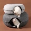 Katten Bed – Katten Tunel – Donut Vorm – Interactief Spel – Katten Huis – Kat – Kitten – -Kattenvoer Verkoopwinkel 1200x1200