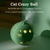 Elektrische Speel Bal Voor Katten – Crazy Cat Ball Speelgoed – Interactieve Stuiterbal – USB Oplaadbaar – Met Veertjes En Touwtjes – Zelf Bewegend -Kattenvoer Verkoopwinkel 1200x1200 11