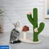 LooMar Katten Krabpaal – Katten Krabpaal Voor Grote Katten – Katten Krabmeubel – Kattenspeeltjes – Cactus -Kattenvoer Verkoopwinkel 1200x1200 29