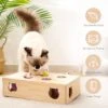 Mewoofun Kat Speelgoed Interactieve Massief Houten Speelgoed Voor Indoor Katten Kitten Muizen Vangen Intelligentie Spel -Kattenvoer Verkoopwinkel 1200x1200 8
