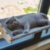 Houten Hangmat Voor Katten, 61 X 29 Cm, Raamzitplaats, Slaap-/zonneplek, Raamligstoel, Krachtige Zuignappen Tot 15 Kg, Veilig En Robuust 2 Houten Hangmat Voor Katten, 61 X 29 Cm, Raamzitplaats, Slaap-/zonneplek, Raamligstoel, Krachtige Zuignappen Tot 15 Kg, Veilig En Robuust -Kattenvoer Verkoopwinkel 1200x904