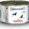 Royal Canin Recovery Feline/Canine – Kattenvoer – 12 X 195 G -Kattenvoer Verkoopwinkel 1200x944