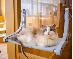 Kat Bed Luxe Zuignap Hangmat Nest Opknoping Kat Bed Raam Klimmuur Vensterbank Muur Wandmeubel Hangmat Katten Bed Huisdier Dierbenodigdheden