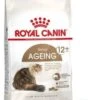 Royal Canin Ageing +12 Kattenvoer 2x 2 Kg -Kattenvoer Verkoopwinkel 748x1200