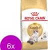 Royal Canin Ragdoll Adult – Kattenvoer – 6 X 2 Kg -Kattenvoer Verkoopwinkel 939x1200