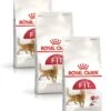 Royal Canin Fhn Fit 32 – Kattenvoer – 3 X 2 Kg -Kattenvoer Verkoopwinkel 955x1200