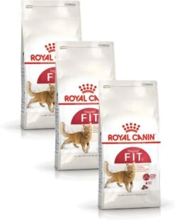 Royal Canin Fhn Fit 32 – Kattenvoer – 3 X 2 Kg