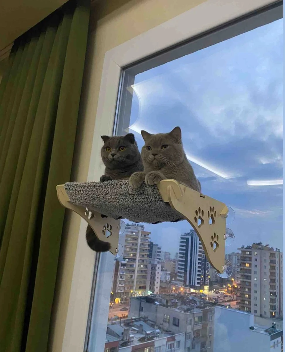 Arnillo – Kattenhangmat – Kattenhangmat Raam – Kattenmand – Kattenbed – Kattenbed Raam – Kat Decoratie – Houten Kattenhangmat 3 Arnillo – Kattenhangmat – Kattenhangmat Raam – Kattenmand – Kattenbed – Kattenbed Raam – Kat Decoratie – Houten Kattenhangmat