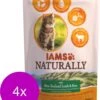 Iams Naturally Cat Adult Lam&Rijst – Kattenvoer – 4 X 700 G -Kattenvoer Verkoopwinkel 980x1200